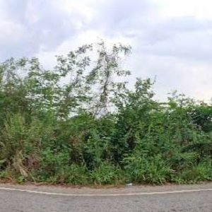 land in Nong Bua Lamphu