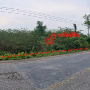 land in Nong Bua Lamphu