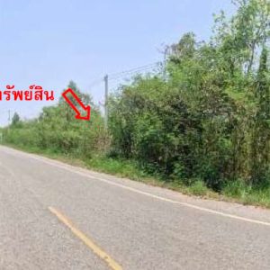 land in Nong Bua Lamphu