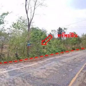 land in Nong Bua Lamphu