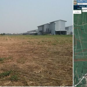 land in Kamphaeng Phet