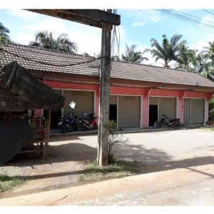 Land with buildings in Surat Thani