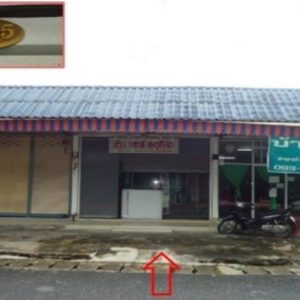 Land with buildings in Surat Thani