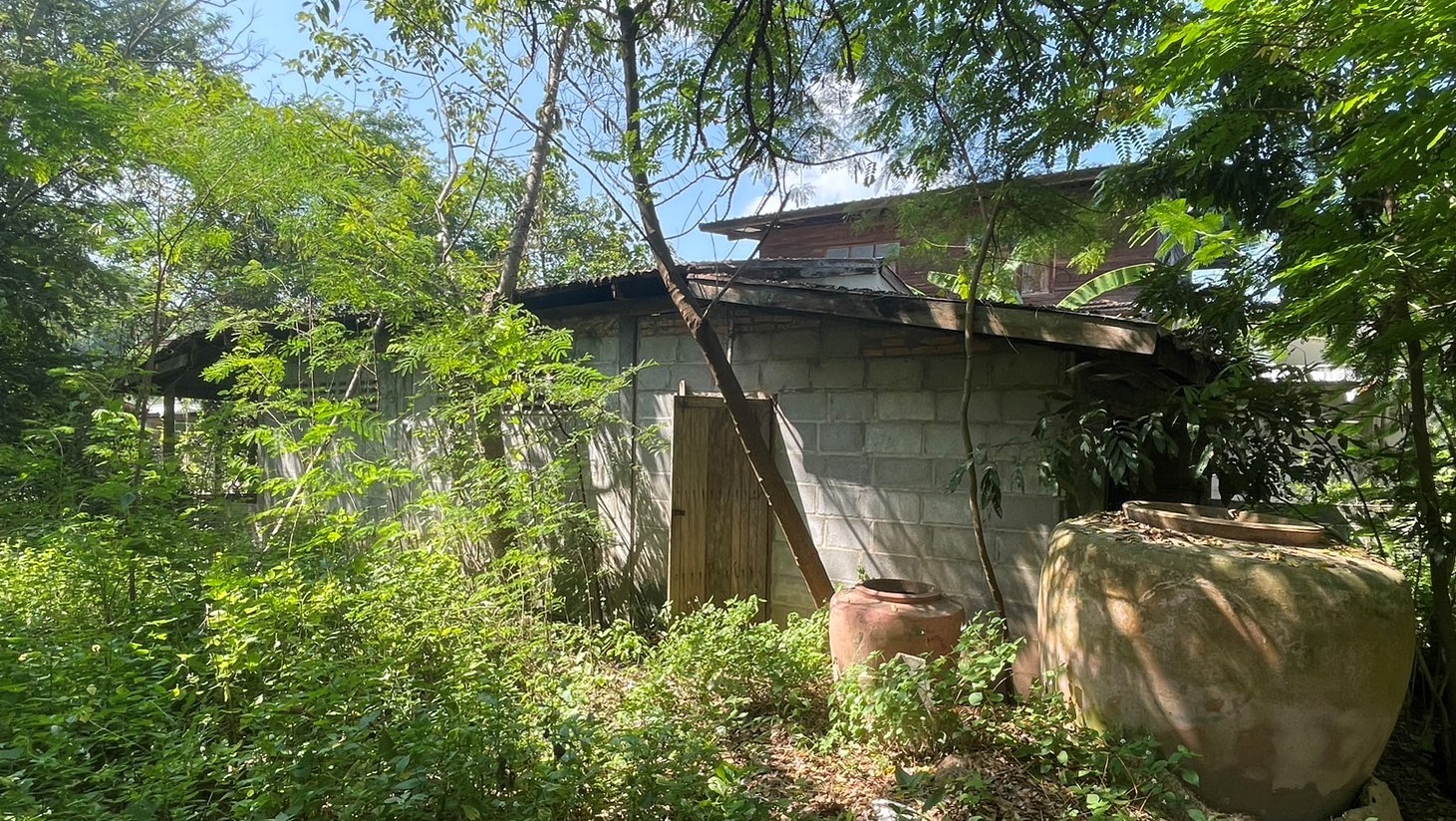 Real Estate from Banks _photo