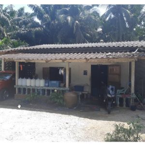 Land with buildings in Nakhon Si Thammarat