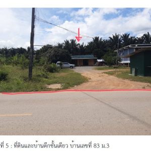 Land with buildings in Surat Thani