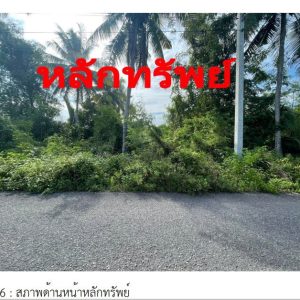 land in Surat Thani