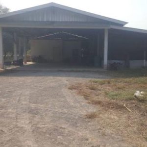 26 multi -purpose sheds