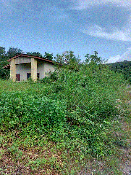 Real Estate from Banks _photo