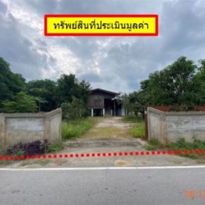 02 Single House