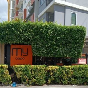 05 Condominium