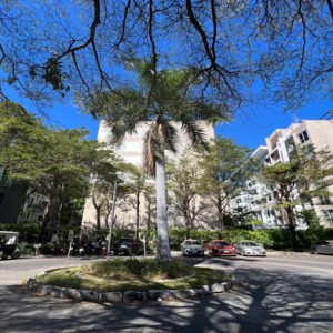 05 Condominium