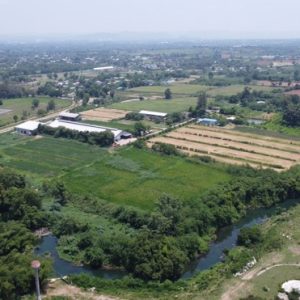 13 Farm