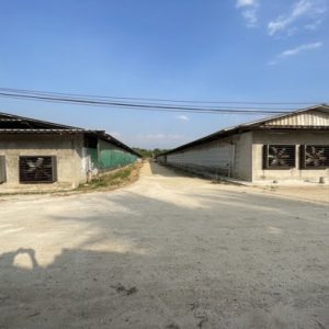 13 Farm