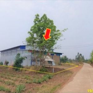 12 warehouses