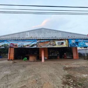 31 Large Building