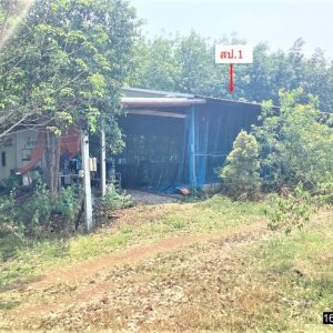 26 Multipurpose sheds