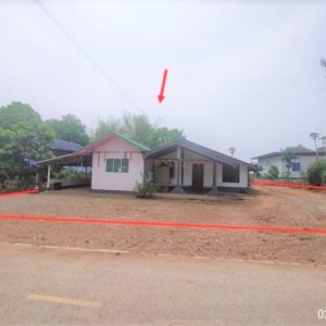 02 Single House