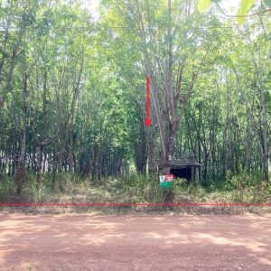 21 Agricultural Park
