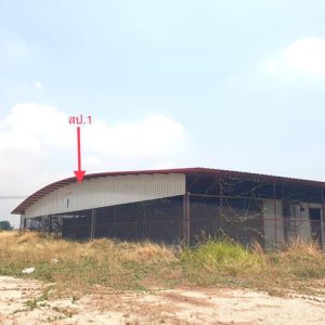 13 Farm