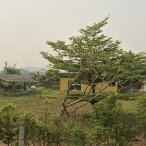31 Large Building