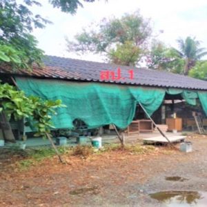 26 multi -purpose sheds