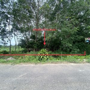 21 Agricultural Park