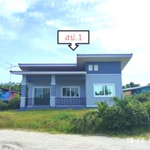 02 Single House