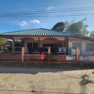 02 Single House