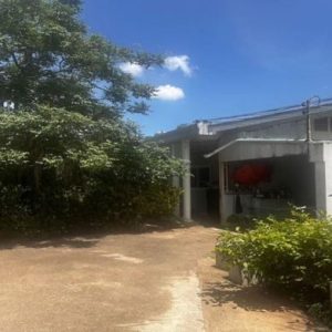 02 Single House