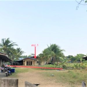 02 Single House