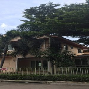 02 Single House