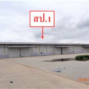 12 warehouses