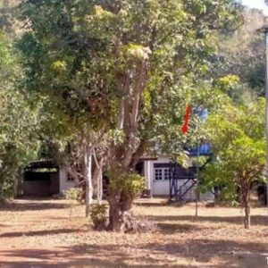 02 Single House