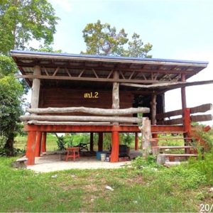 02 Single House