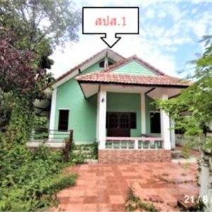 02 Single House
