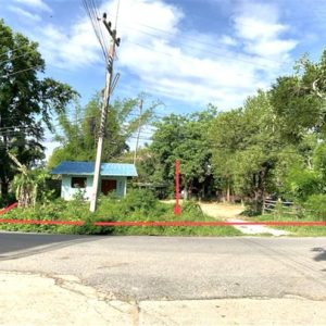 02 Single House