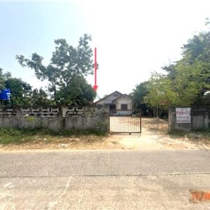 02 Single House