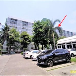 05 Condominium