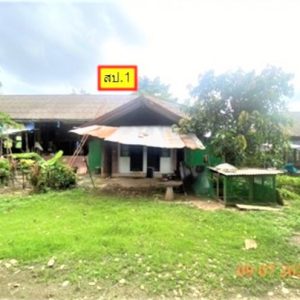 02 Single House