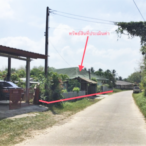 02 Single House