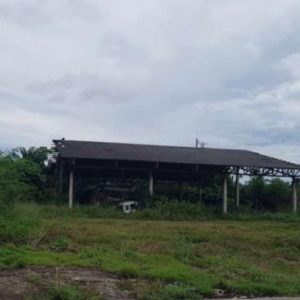 26 multi -purpose sheds