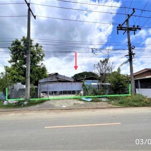 02 Single House
