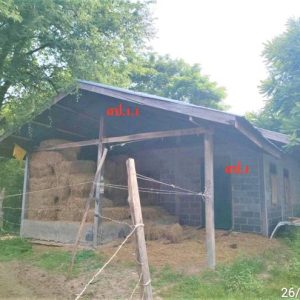 02 Single House