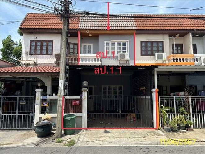 02 Single House _photo
