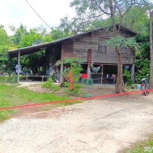 02 Single House