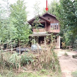 02 Single House
