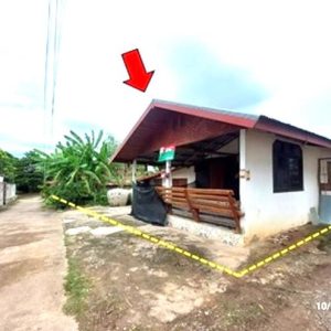 02 Single House