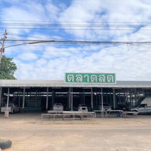 18 fresh market