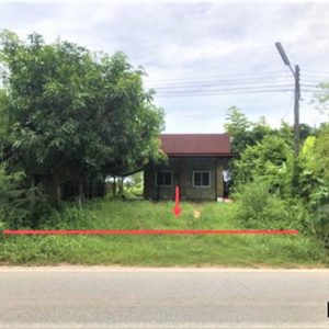 02 Single House